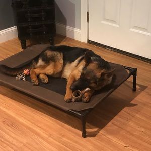 Meet your Posher, Paul